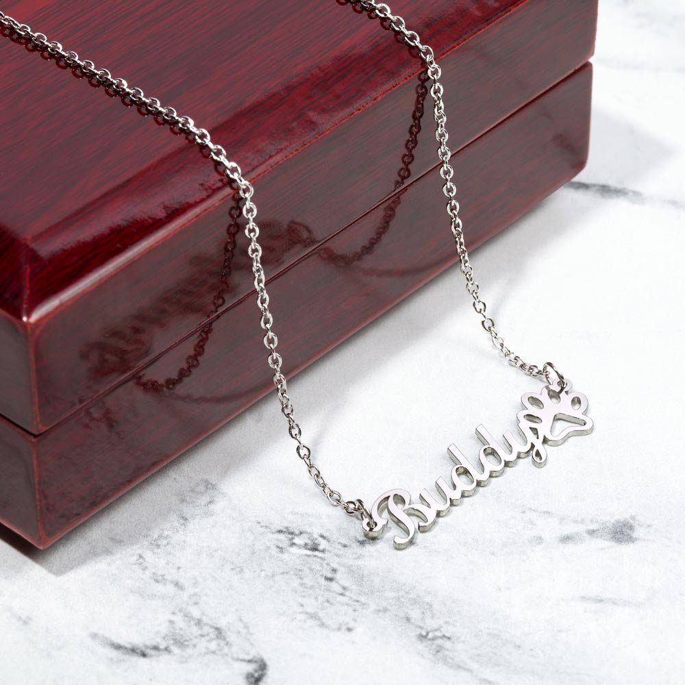 Custom name necklace for beloved pet in the color silver displayed on a luxury gift box from I Got You A Gift.